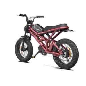 Hurtowy dostawca fabryczny Ebike w stylu Dirt Bike