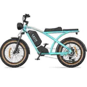 Hurtownia fabrycznego dostawcy Ebike 1000w