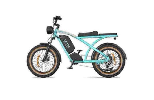 Hurtownia fabrycznego dostawcy Ebike 1000w