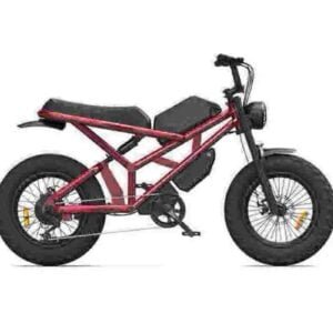 Hurtowy dostawca fabrycznych składanych rowerów elektrycznych Ebike