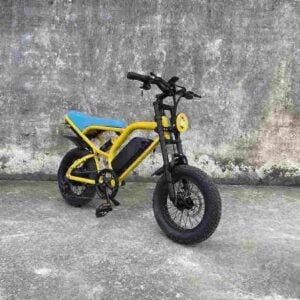 Hurtowy dostawca fabryki elektrycznych rowerów typu Fat Tire Ebike