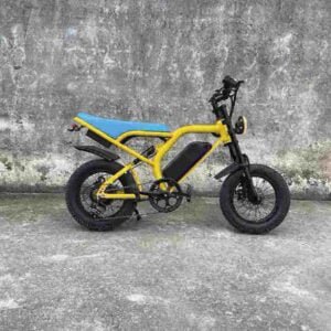 Hurtownia fabrycznego dostawcy Fat Bike Ebike