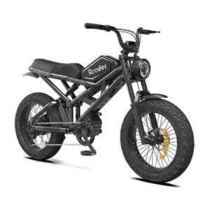 Hurtowy dostawca roweru elektrycznego Fat Tire 750w