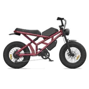 Hurtowy dostawca fabryczny Fat Tire Bike Electric